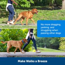 Load image into Gallery viewer, Soft Point Training Collar
