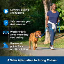 Load image into Gallery viewer, Soft Point Training Collar
