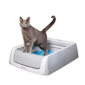 main product image with a cat in the box